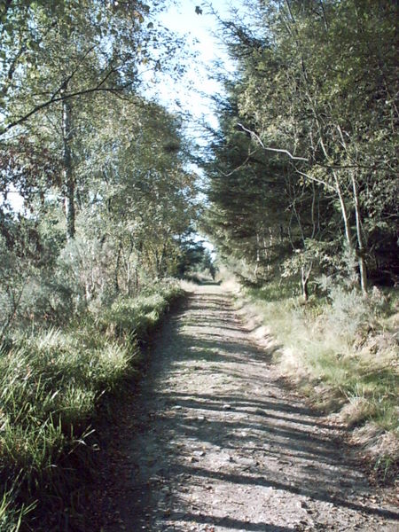 The Old Aberdeen Road at the foot of Bennachie