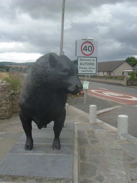 The Alford Bull