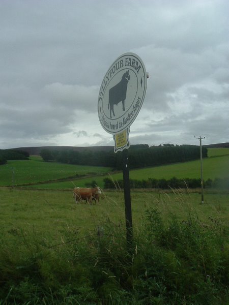 Sign to Tillyfour Farm, Tough