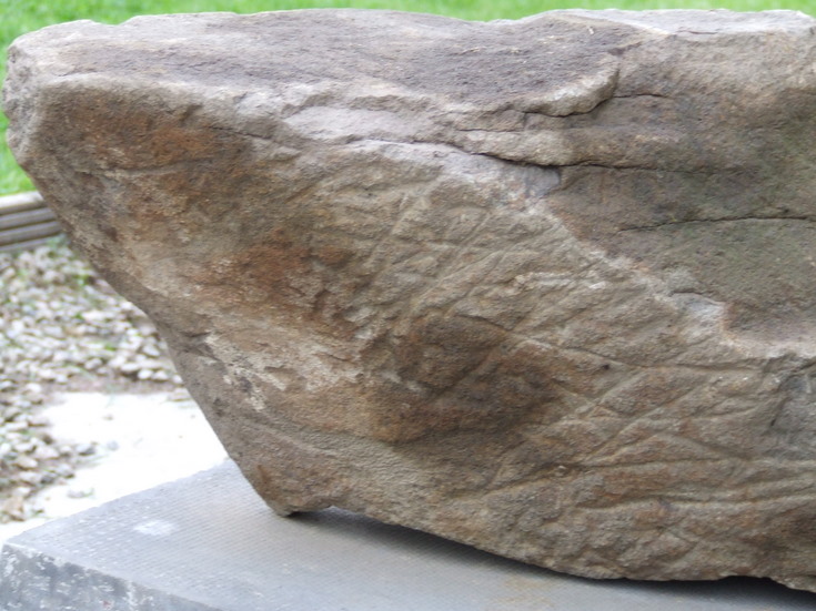 Oddly marked stone