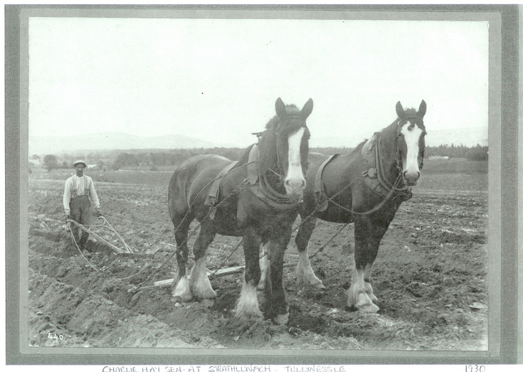 Ploughing at Strathlunach, Tullynessle.