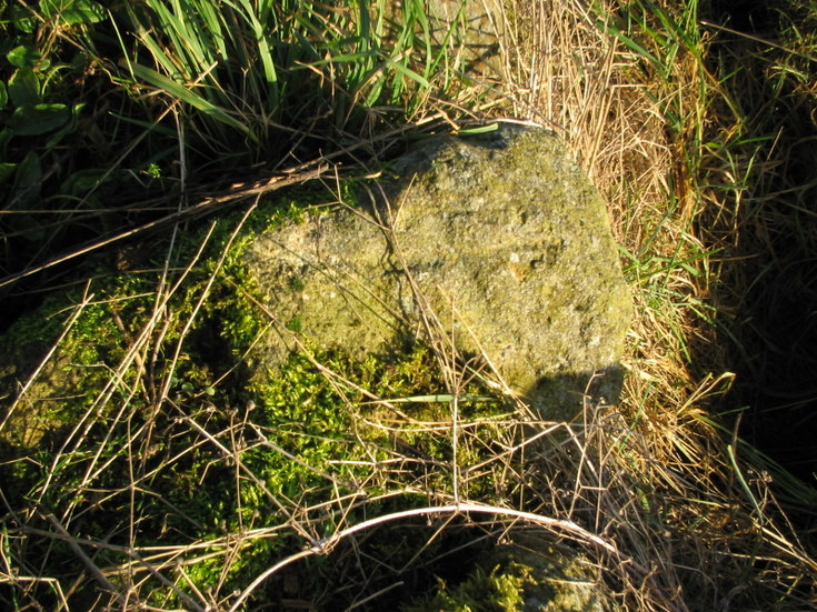 Cross incised stone near Tertowie