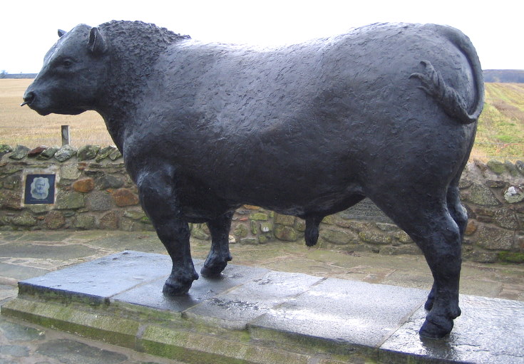 The Alford Bull