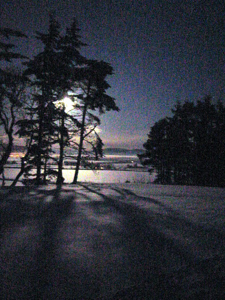 Alford Vale in Winter by Moonlight