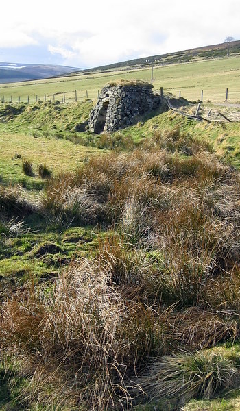 Ruined lime kiln near Upperton, Glenbuchat
